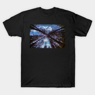 Wide angle fisheye photograph of trees T-Shirt